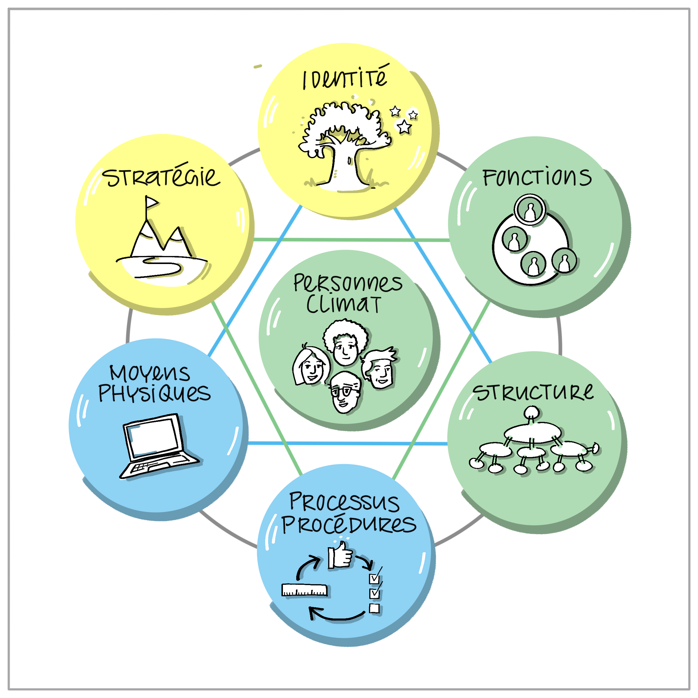 Les sept éléments essentiels d'une organisation selon Trigon©